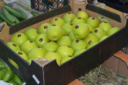 МИД РА: Ситуацию с реализацией армянских фруктов на российском рынке удалось стабилизировать