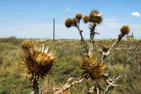 В Армении будет повышен нижний порог стартовой цены за продаваемые земли
