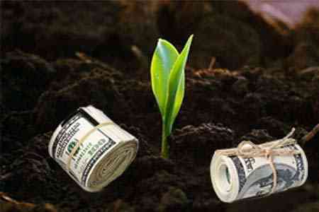 В Армении программы в сфере сельского хозяйства, финансируемые государством, не будут облагаться налогом с прибыли