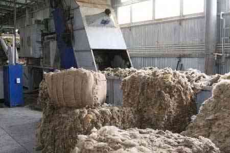 Глава инспекционного органа: Переход на вывоз шкур животных исключительно со скотобоен - необратимый процесс