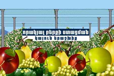 ЕЭК разработал дорожную карту для формирования единого рынка органической сельхозпродукции