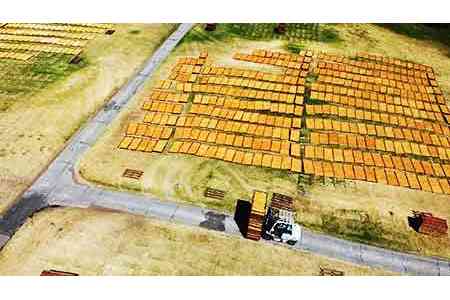 Армянские производители сухофруктов побывали в ЮАР и ознакомились с секретами всей производственной цепочки