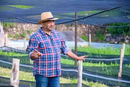 The first snail breeding farm was established in Armenia