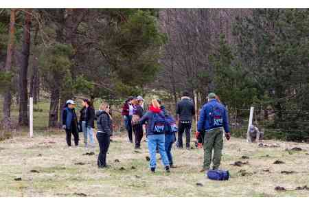 Team возведет 1 гектар леса в Лори