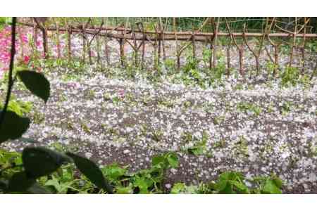 Минэкономики Армении оценивает ущерб от сильного града, обрушившегося на Араратскую область