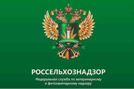 Россельхознадзор проведет переговоры с компетентным ведомством Армении по проблеме  поставок армянских цветов в Россию