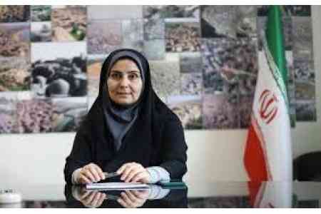 Тегеран и Ереван договорились о строительстве второго пограничного моста в Нордузе через реку Аракс - иранский чиновник