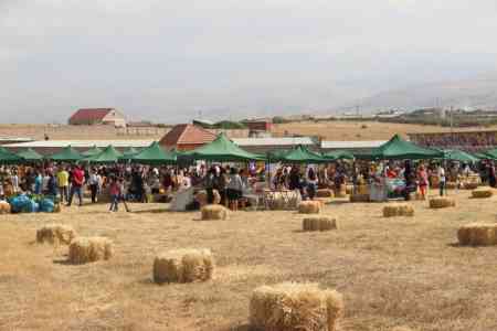 В Дзорахбюре в 12-й раз стартует Фестиваль урожая