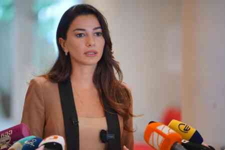 Министр экономики Грузии указала временному поверенному США <на новые возможности для развития в регионе Южного Кавказа> в свете вашингтонских деклараций