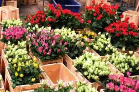 Инспекционный орган: Еще 11 организациям выдана лицензия на экспорт цветов в Россию