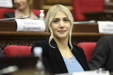 Депутат НС: работа Ереванского аэропорта 