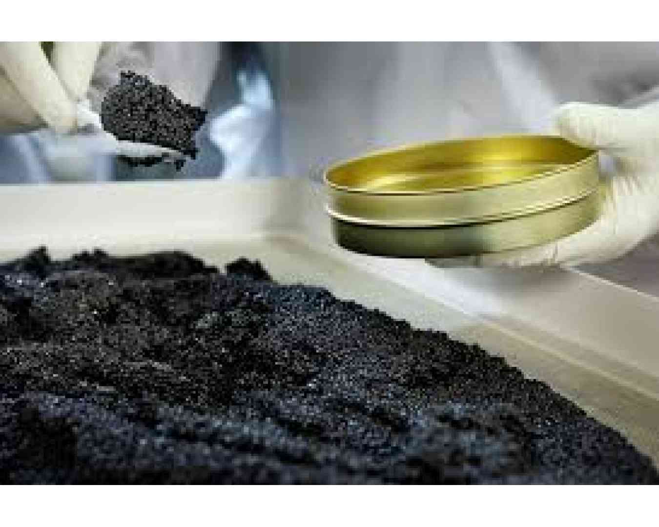 Армения оказалась в числе крупнейших покупателей российской черной икры