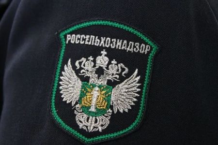 Не только цветы, но и овощи, и фрукты - глава Россельхознадзора о проблемах с Арменией